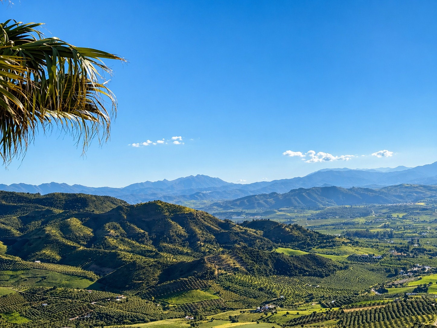 Sunny rolling hills and distant mountains near Casa Lux in Andalusia